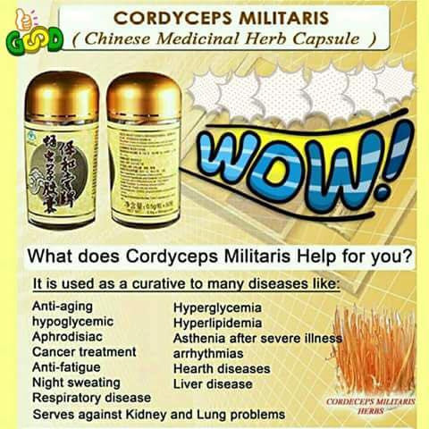 Longrich Cordyceps Militaris Capsule